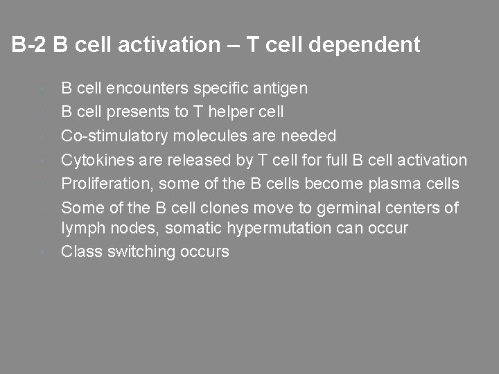 B-2 B cell activation – T cell dependent B cell encounters specific antigen B