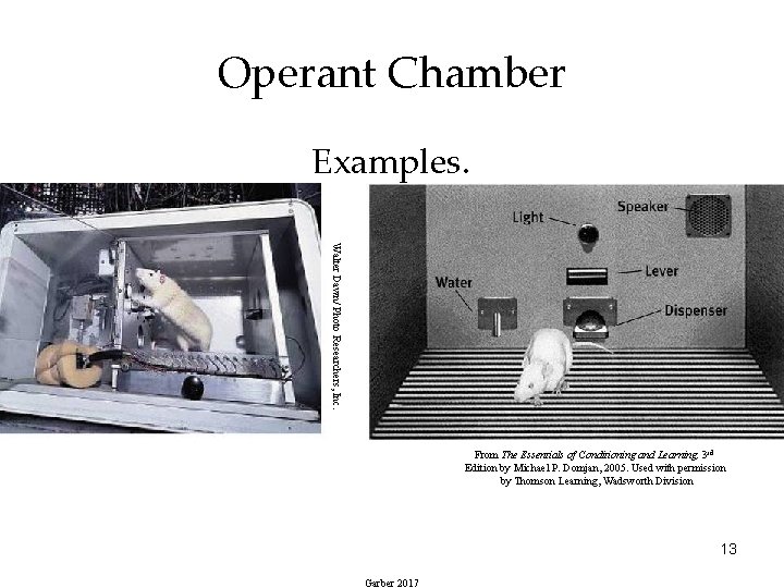 Operant Chamber Examples. Walter Dawn/ Photo Researchers, Inc. From The Essentials of Conditioning and