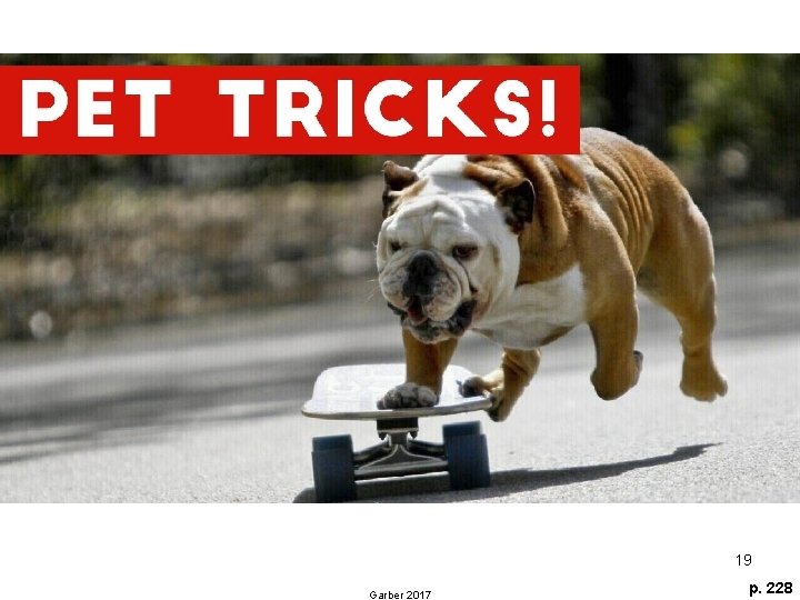 19 Garber 2017 p. 228 