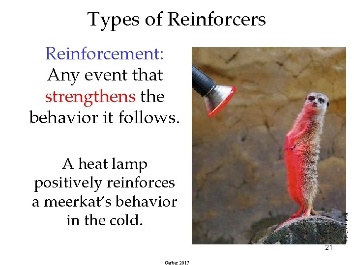 Types of Reinforcers Reinforcement: Any event that strengthens the behavior it follows. Reuters/ Corbis