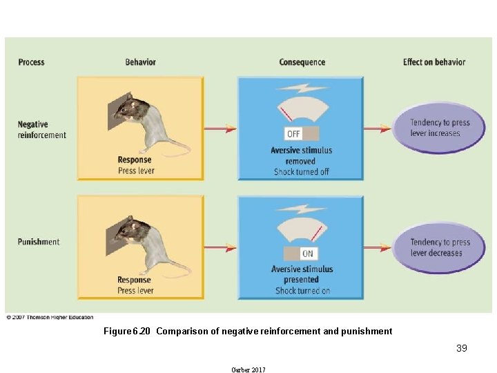 Figure 6. 20 Comparison of negative reinforcement and punishment 39 Garber 2017 