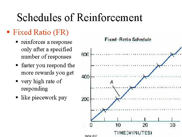 Schedules of Reinforcement § Fixed Ratio (FR) § reinforces a response only after a