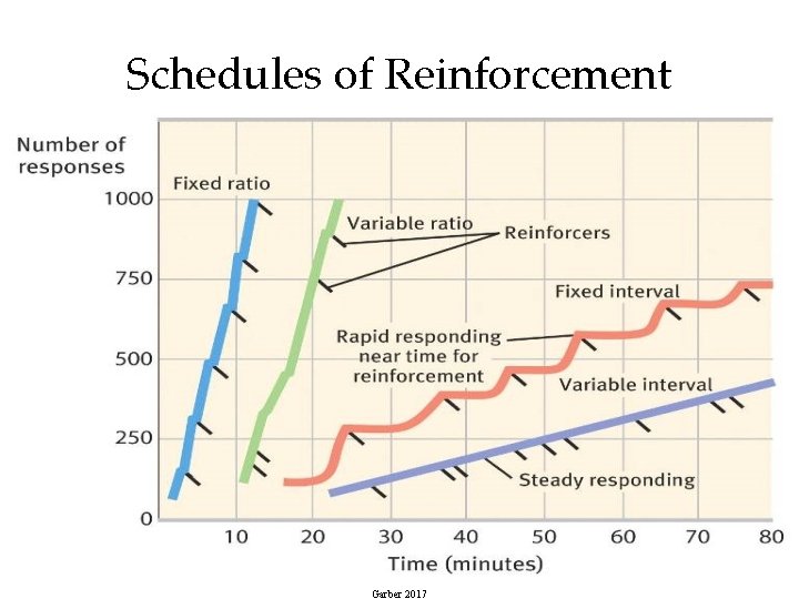 Schedules of Reinforcement 50 Garber 2017 