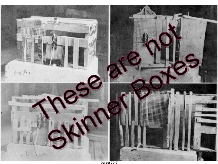 t o n e s r e a x e o s B e