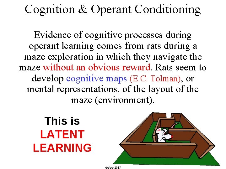 Cognition & Operant Conditioning Evidence of cognitive processes during operant learning comes from rats