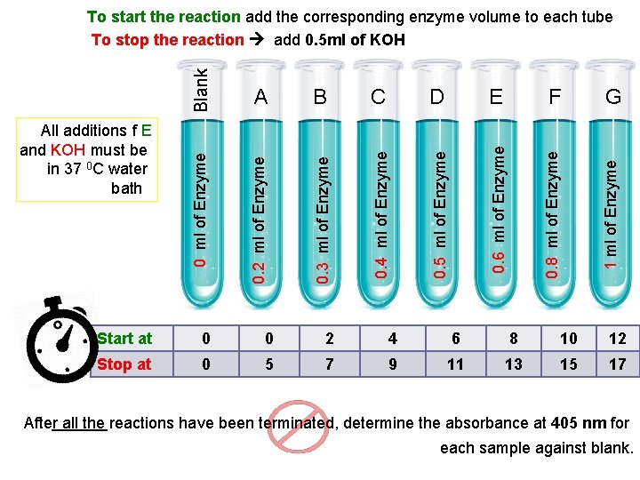 0. 4 ml of Enzyme E F G 1 ml of Enzyme 0. 3