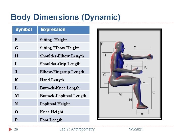 Body Dimensions (Dynamic) Symbol Expression F Sitting Height G Sitting Elbow Height H Shoulder-Elbow