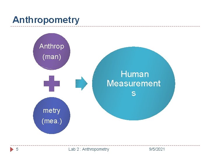 Anthropometry Anthrop (man) Human Measurement s metry (mea. ) 5 Lab 2 : Anthropometry