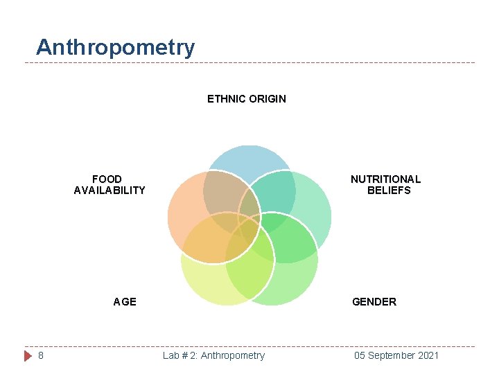 Anthropometry ETHNIC ORIGIN FOOD AVAILABILITY NUTRITIONAL BELIEFS AGE 8 GENDER Lab # 2: Anthropometry