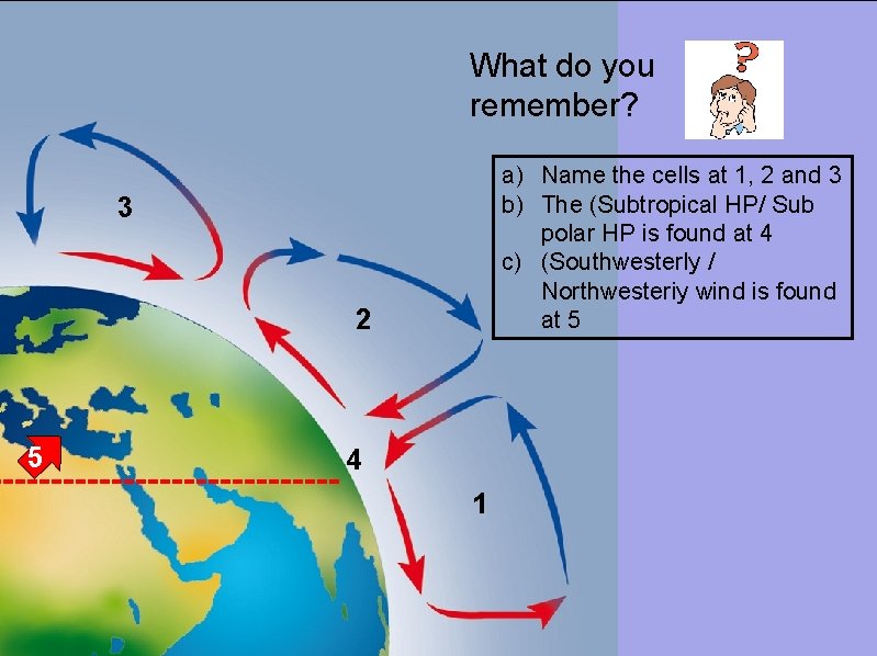 What do you remember? a) Name the cells at 1, 2 and 3 b)