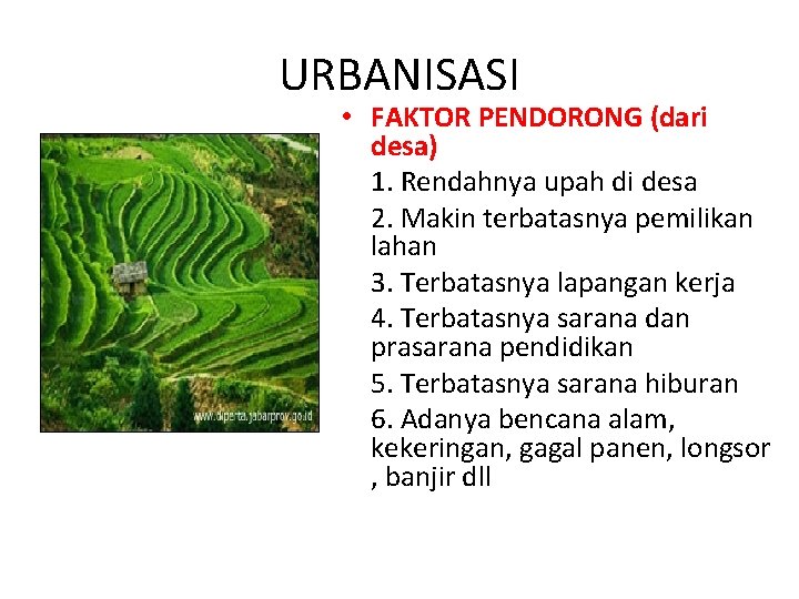 URBANISASI • FAKTOR PENDORONG (dari desa) 1. Rendahnya upah di desa 2. Makin terbatasnya