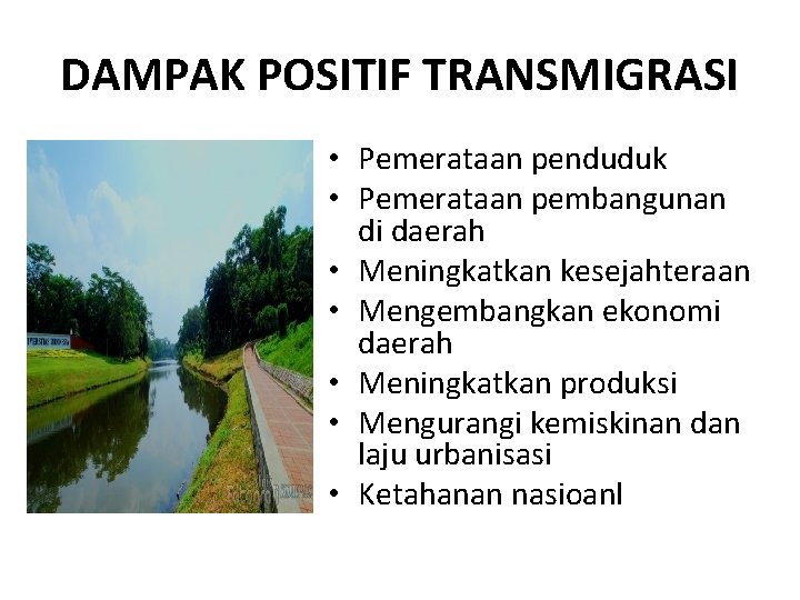 DAMPAK POSITIF TRANSMIGRASI • Pemerataan penduduk • Pemerataan pembangunan di daerah • Meningkatkan kesejahteraan