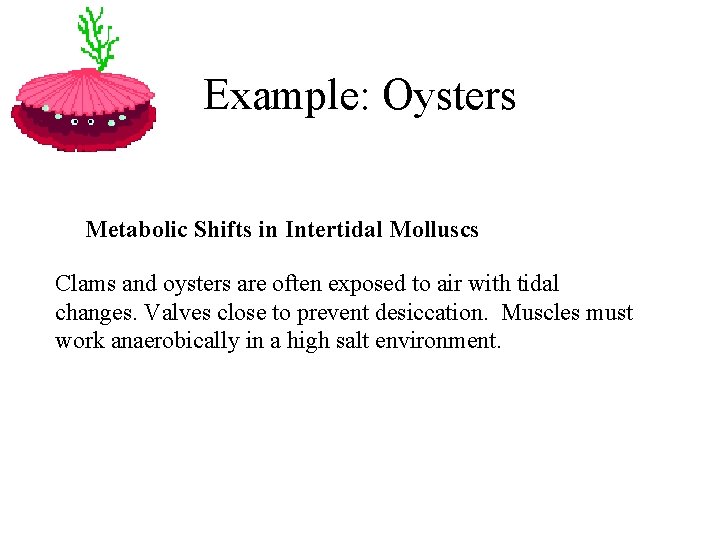 Example: Oysters Metabolic Shifts in Intertidal Molluscs Clams and oysters are often exposed to