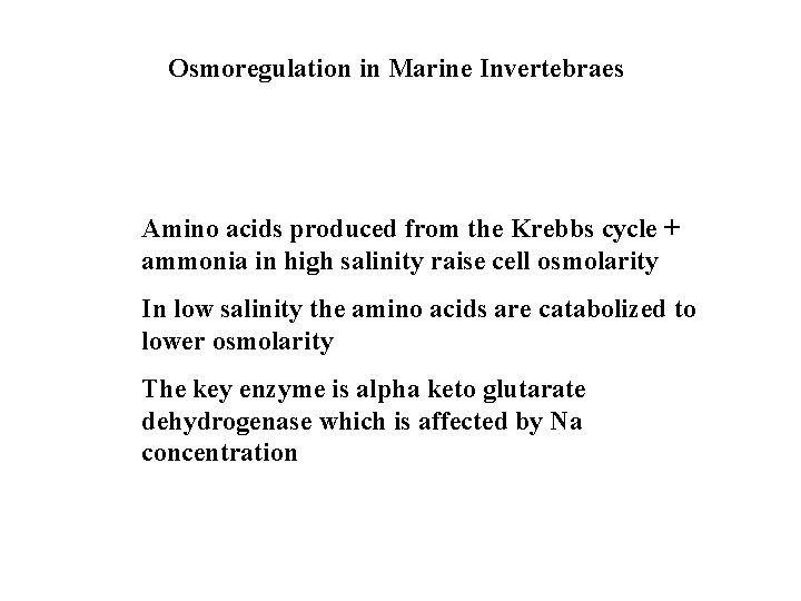 Osmoregulation in Marine Invertebraes Amino acids produced from the Krebbs cycle + ammonia in