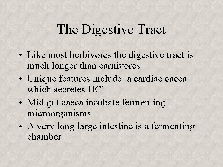 The Digestive Tract • Like most herbivores the digestive tract is much longer than