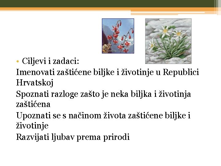  • Ciljevi i zadaci: Imenovati zaštićene biljke i životinje u Republici Hrvatskoj Spoznati