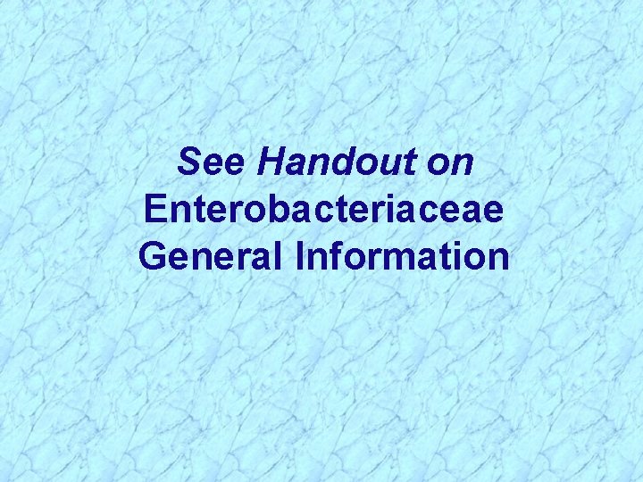 See Handout on Enterobacteriaceae General Information 