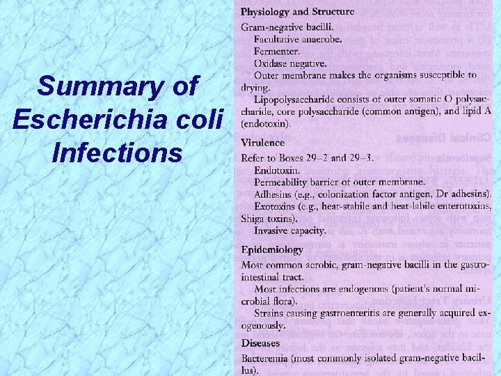 Summary of Escherichia coli Infections 