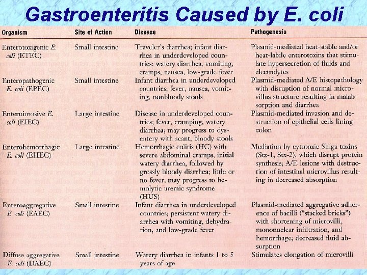 Gastroenteritis Caused by E. coli 
