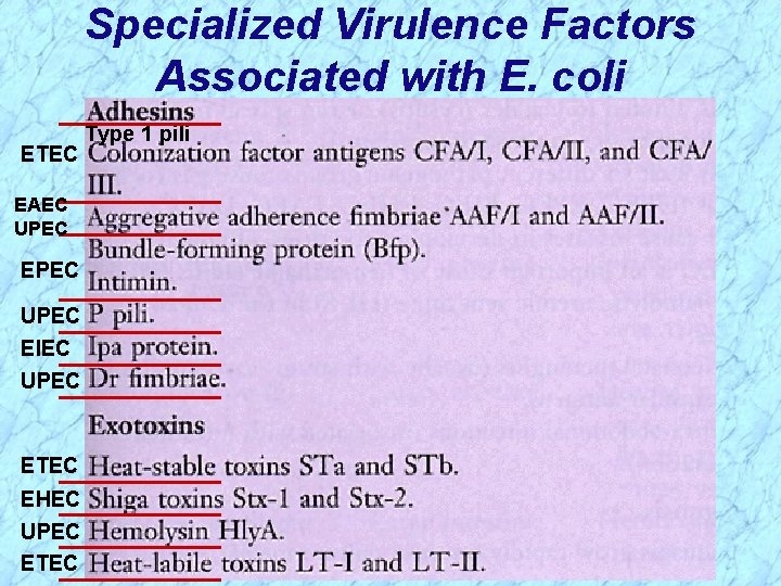 Specialized Virulence Factors Associated with E. coli ETEC EAEC UPEC EPEC UPEC EIEC UPEC
