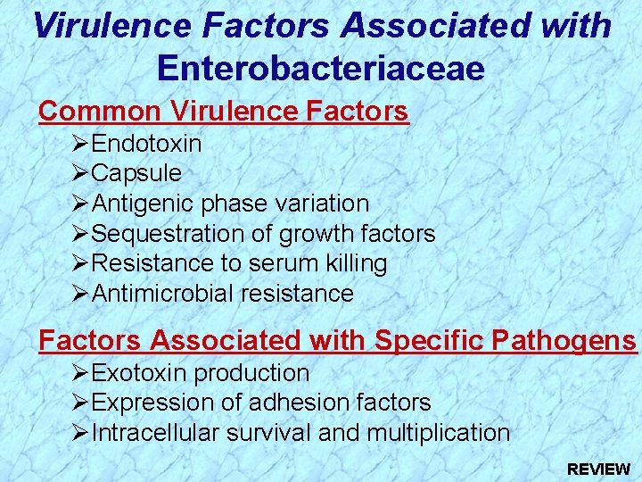 Virulence Factors Associated with Enterobacteriaceae Common Virulence Factors ØEndotoxin ØCapsule ØAntigenic phase variation ØSequestration
