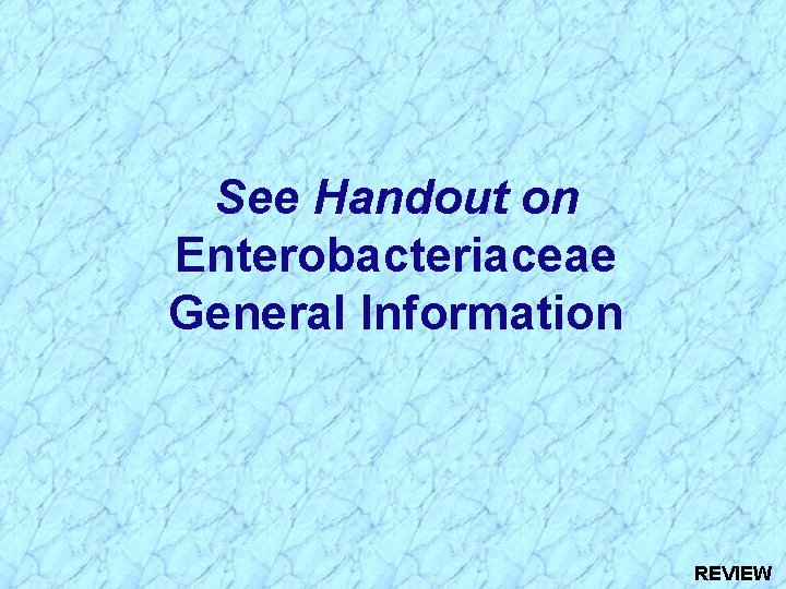 See Handout on Enterobacteriaceae General Information REVIEW 