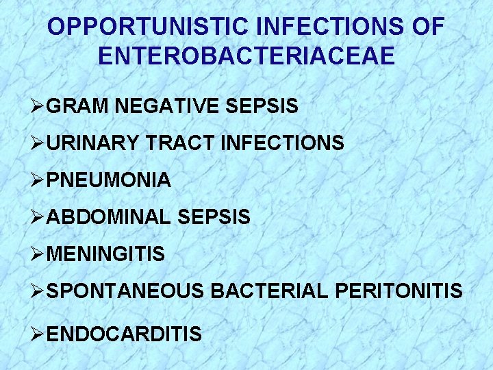 OPPORTUNISTIC INFECTIONS OF ENTEROBACTERIACEAE ØGRAM NEGATIVE SEPSIS ØURINARY TRACT INFECTIONS ØPNEUMONIA ØABDOMINAL SEPSIS ØMENINGITIS