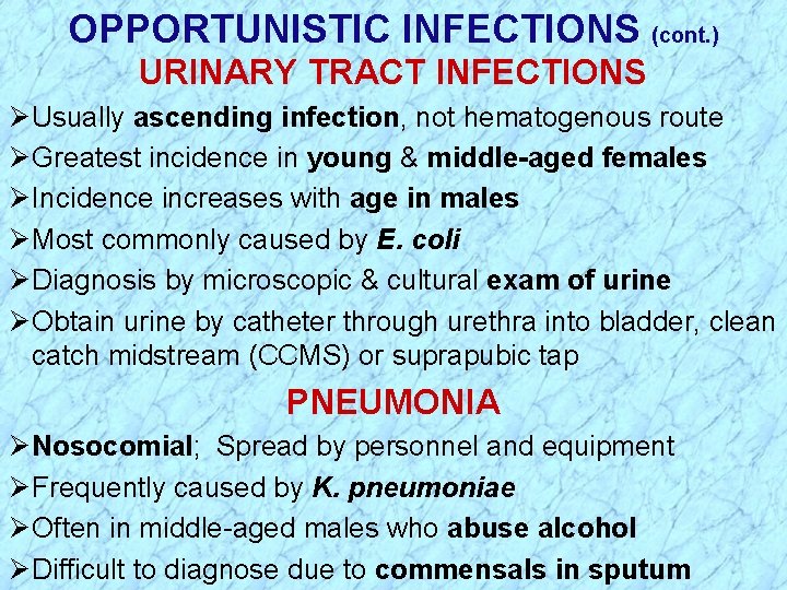 OPPORTUNISTIC INFECTIONS (cont. ) URINARY TRACT INFECTIONS Ø Usually ascending infection, not hematogenous route