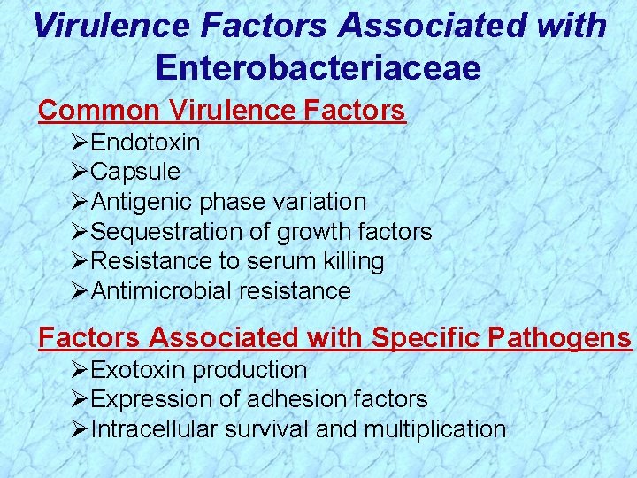 Virulence Factors Associated with Enterobacteriaceae Common Virulence Factors ØEndotoxin ØCapsule ØAntigenic phase variation ØSequestration