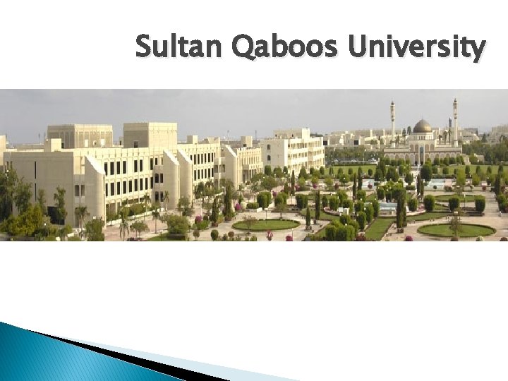 Sultan Qaboos University 
