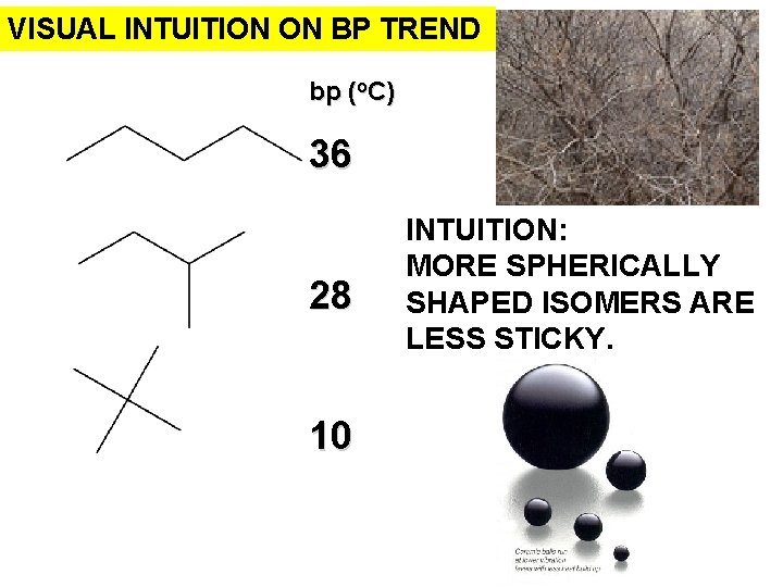 VISUAL INTUITION ON BP TREND bp (o. C) 36 28 10 INTUITION: MORE SPHERICALLY VISUAL INTUITION ON BP TREND bp (o. C) 36 28 10 INTUITION: MORE SPHERICALLY