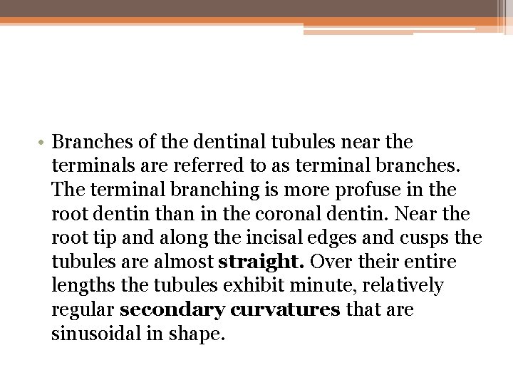  • Branches of the dentinal tubules near the terminals are referred to as