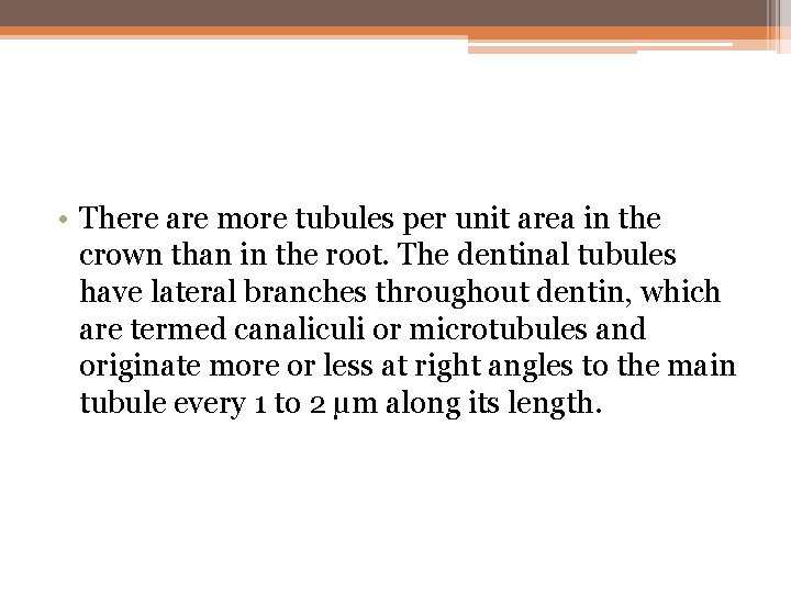  • There are more tubules per unit area in the crown than in