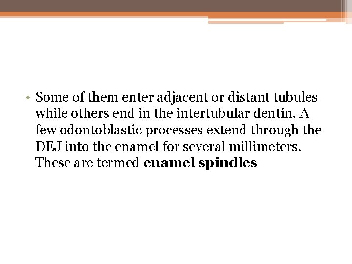  • Some of them enter adjacent or distant tubules while others end in