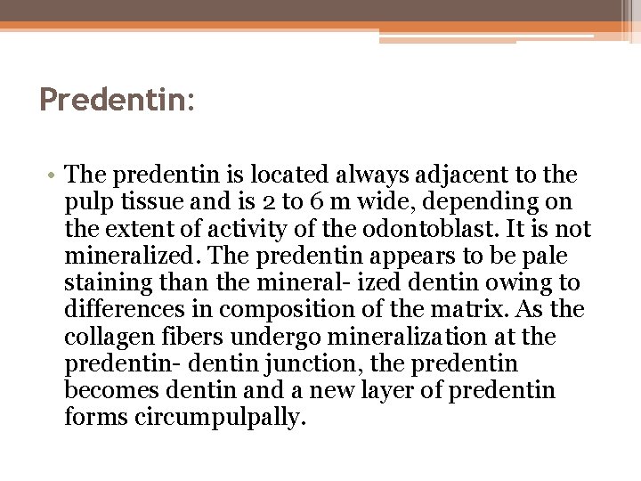 Predentin: • The predentin is located always adjacent to the pulp tissue and is