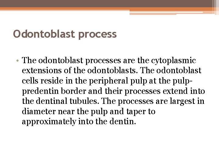 Odontoblast process • The odontoblast processes are the cytoplasmic extensions of the odontoblasts. The