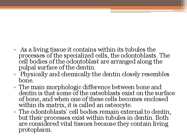  • As a living tissue it contains within its tubules the processes of