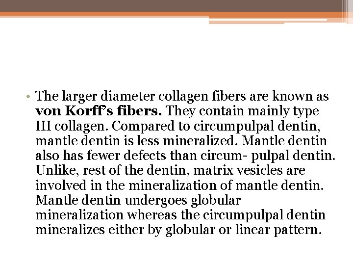  • The larger diameter collagen fibers are known as von Korff’s fibers. They