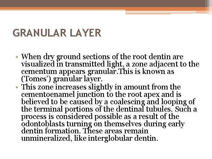 GRANULAR LAYER • When dry ground sections of the root dentin are visualized in