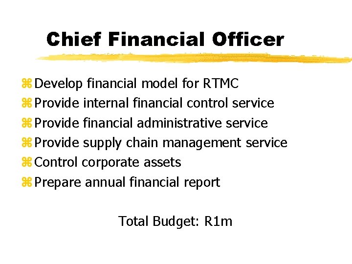 Chief Financial Officer z Develop financial model for RTMC z Provide internal financial control