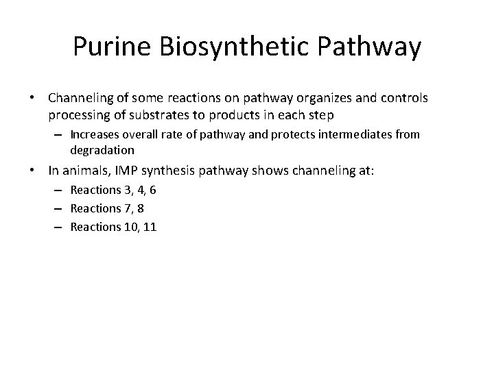 Purine Biosynthetic Pathway • Channeling of some reactions on pathway organizes and controls processing