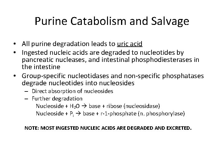Purine Catabolism and Salvage • All purine degradation leads to uric acid • Ingested