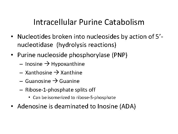 Intracellular Purine Catabolism • Nucleotides broken into nucleosides by action of 5’nucleotidase (hydrolysis reactions)