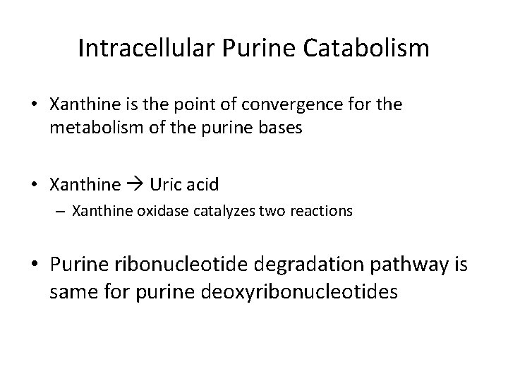Intracellular Purine Catabolism • Xanthine is the point of convergence for the metabolism of