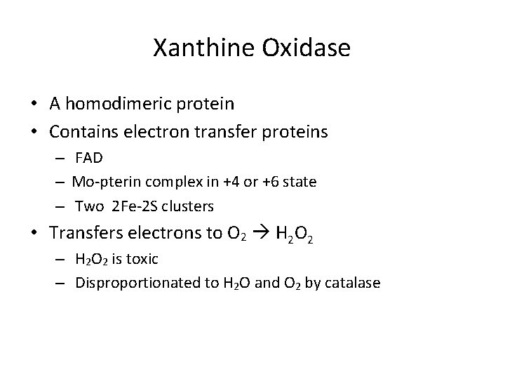 Xanthine Oxidase • A homodimeric protein • Contains electron transfer proteins – FAD –