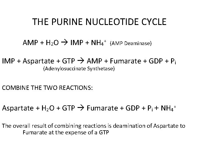 THE PURINE NUCLEOTIDE CYCLE AMP + H 2 O IMP + NH 4+ (AMP