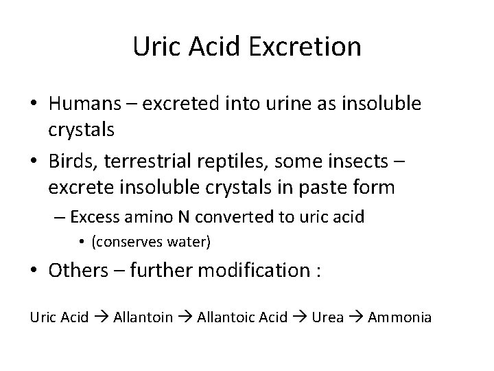 Uric Acid Excretion • Humans – excreted into urine as insoluble crystals • Birds,