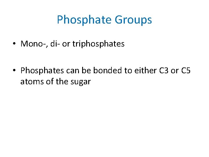 Phosphate Groups • Mono-, di- or triphosphates • Phosphates can be bonded to either
