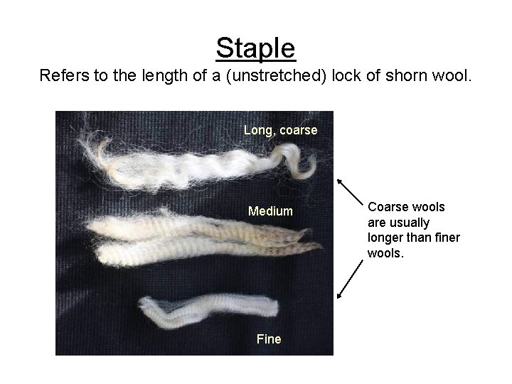 Staple Refers to the length of a (unstretched) lock of shorn wool. Long, coarse