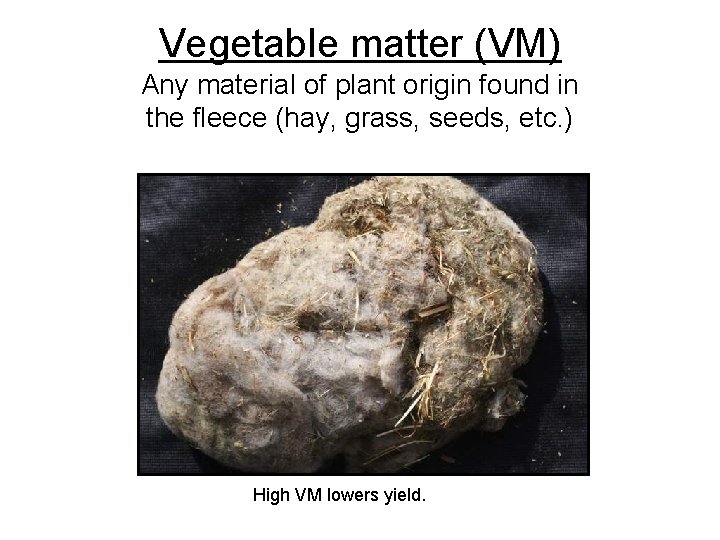 Vegetable matter (VM) Any material of plant origin found in the fleece (hay, grass,
